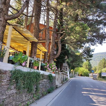 Hotel Toni Llogora Dukat Exterior photo