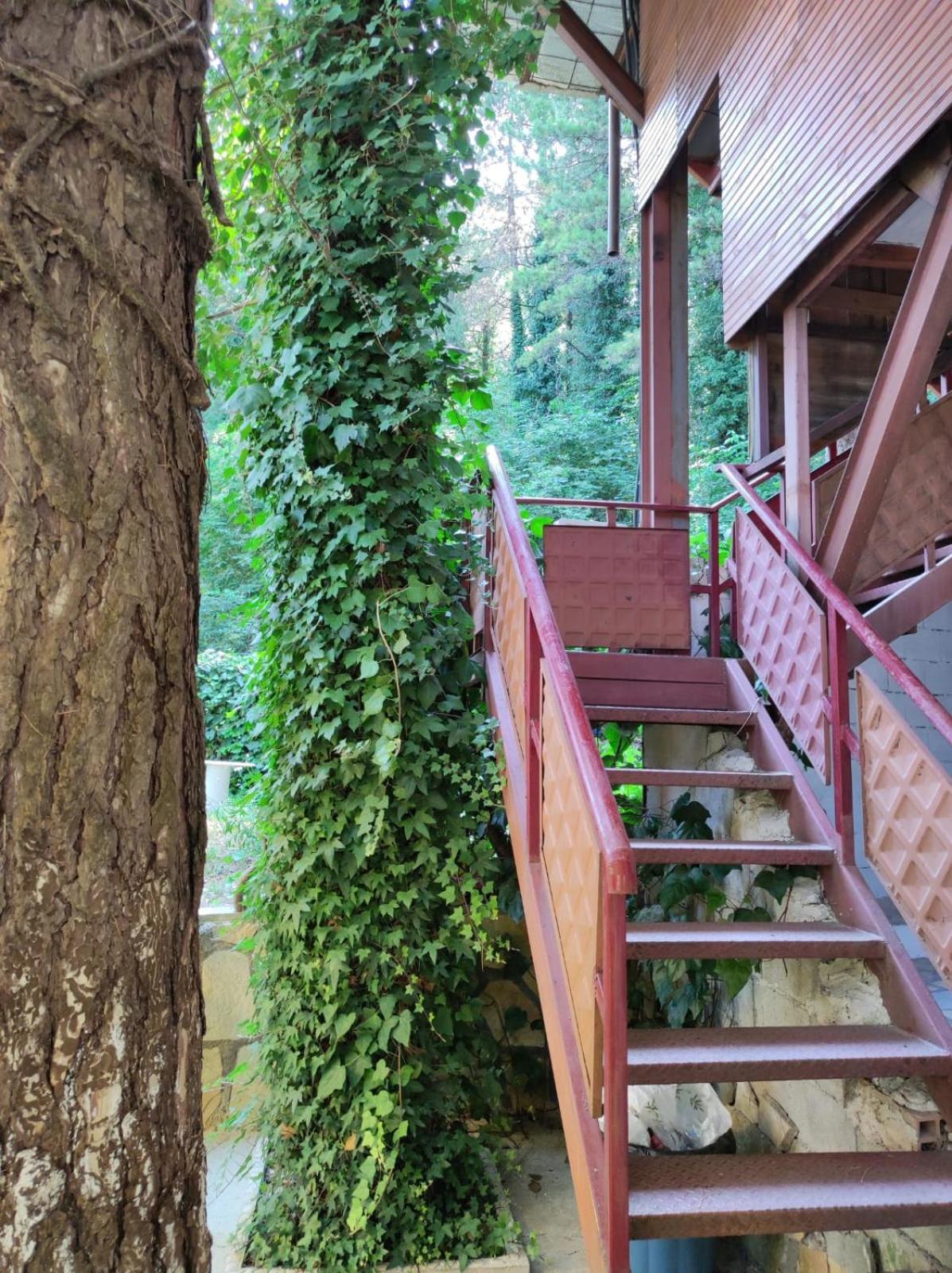 Hotel Toni Llogora Dukat Exterior photo