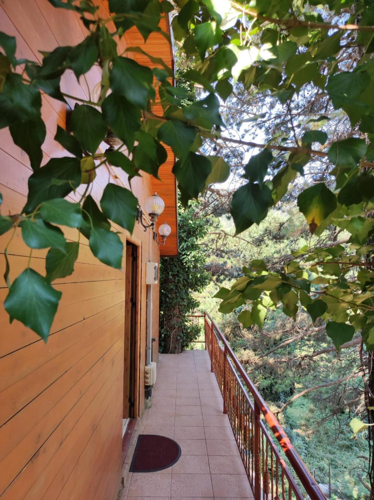 Hotel Toni Llogora Dukat Exterior photo